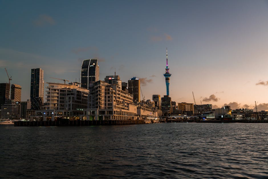 auckland-transfers
