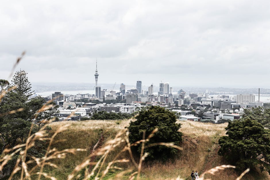 auckland-travel-guide