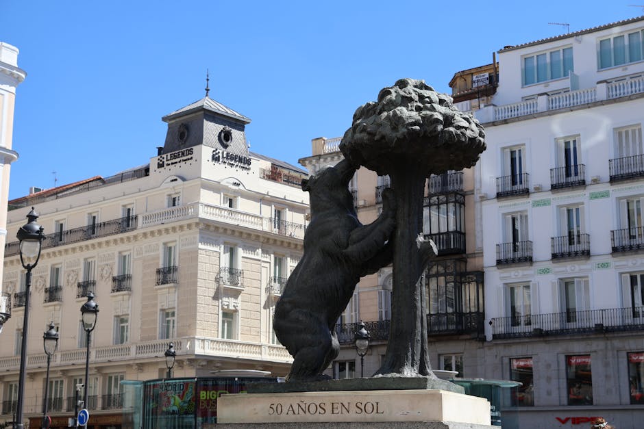 aveiro-to-madrid-bus