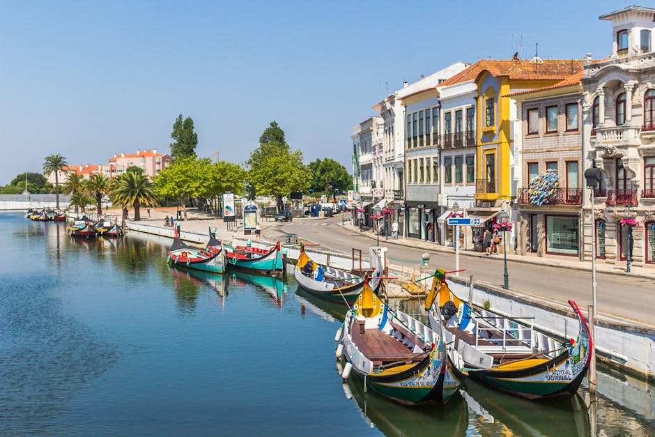 aveiro-to-madrid-bus