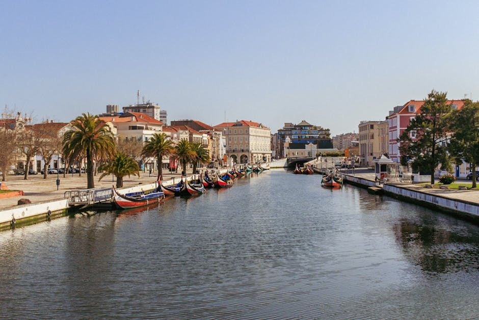 aveiro-to-porto-bus