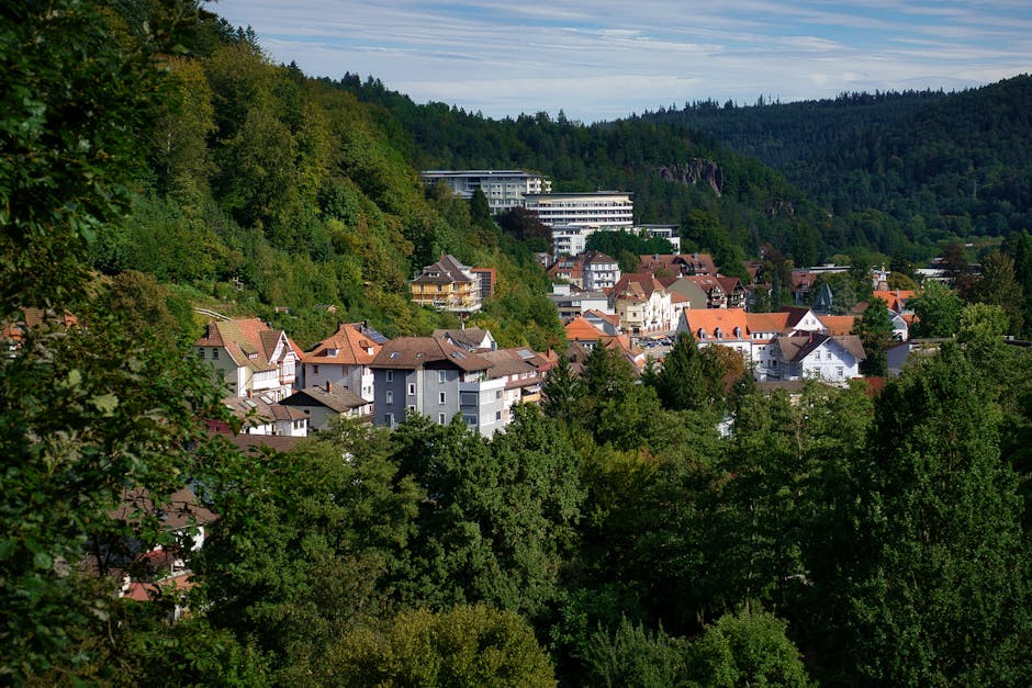 baden-baden-to-strasbourg-bus