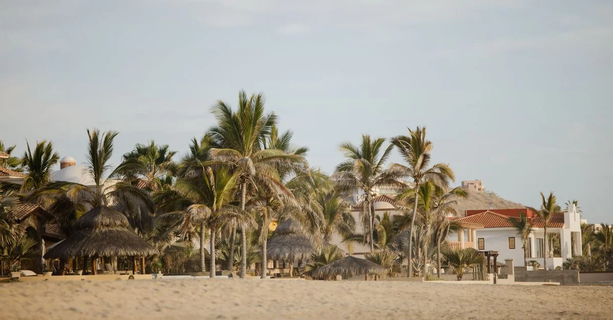 Best Cruise Tours in Baja California Sur