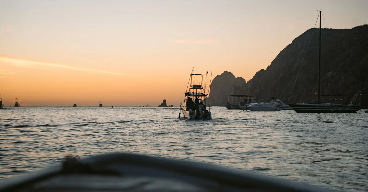 Best Cruise Tours in Baja California Sur