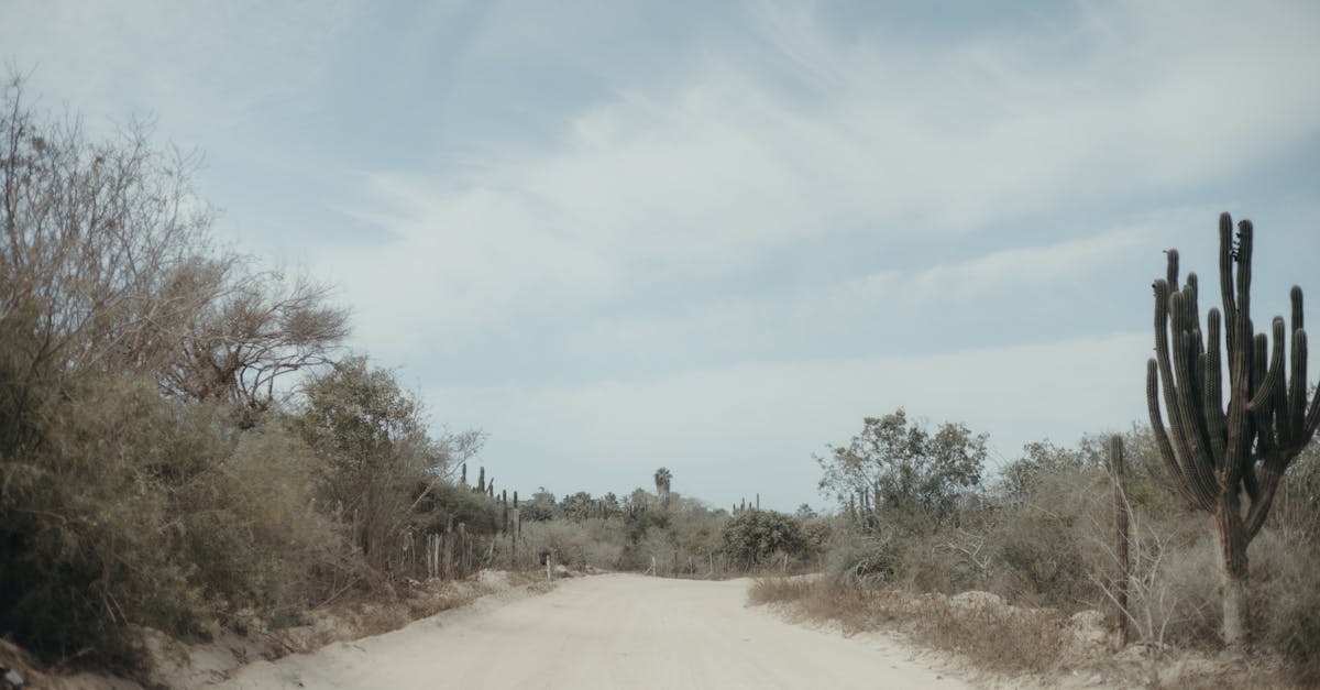 baja-california-sur-transfers