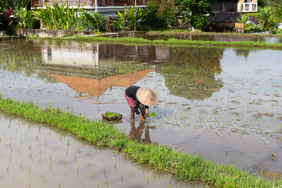 bali-indonesia