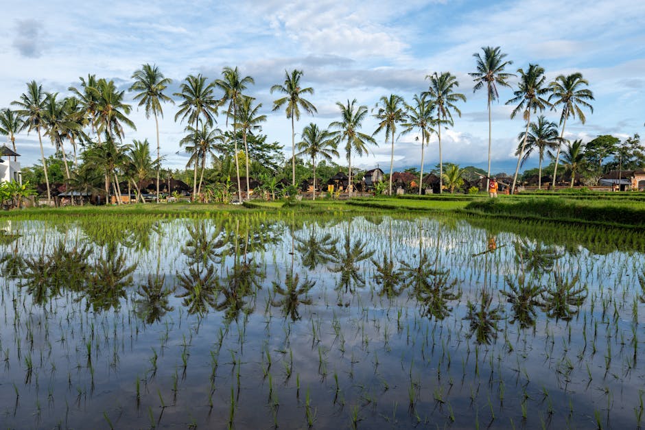 bali-indonesia
