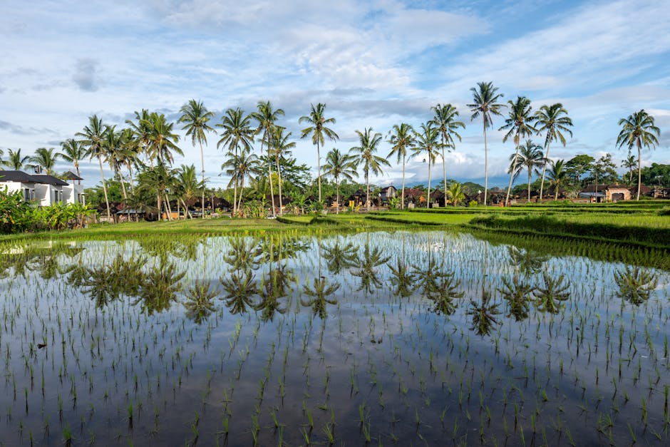bali-indonesia