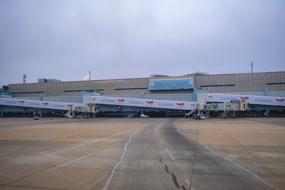 baltimore-wash-international-thurgood-marshall-airport-bwi-guide