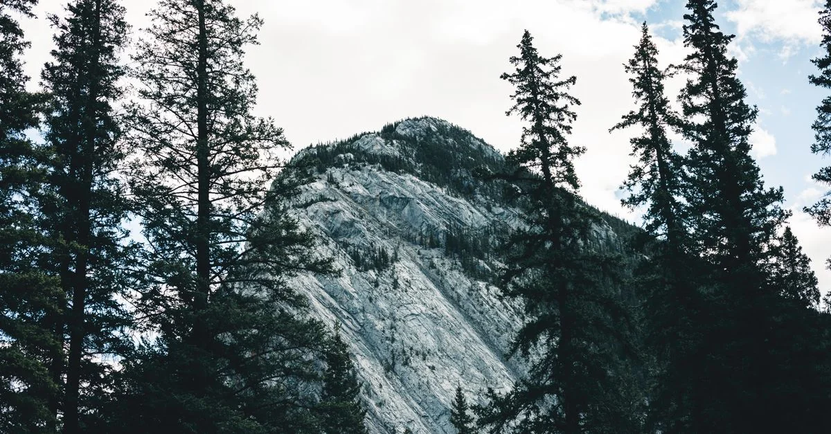 Exploring the Rockies: A 2-Day Banff Multi-Day Tour Adventure