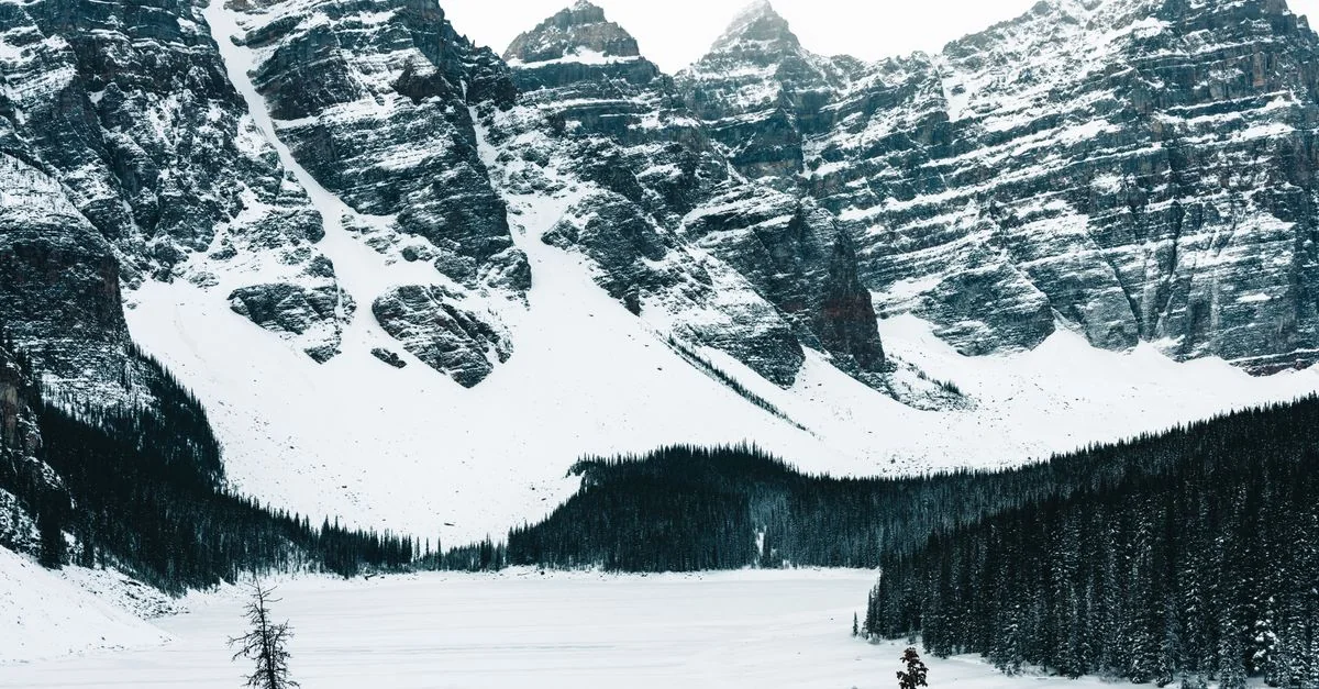Nature and Wildlife Tours in Banff: Safari, Birdwatching and Eco Adventures