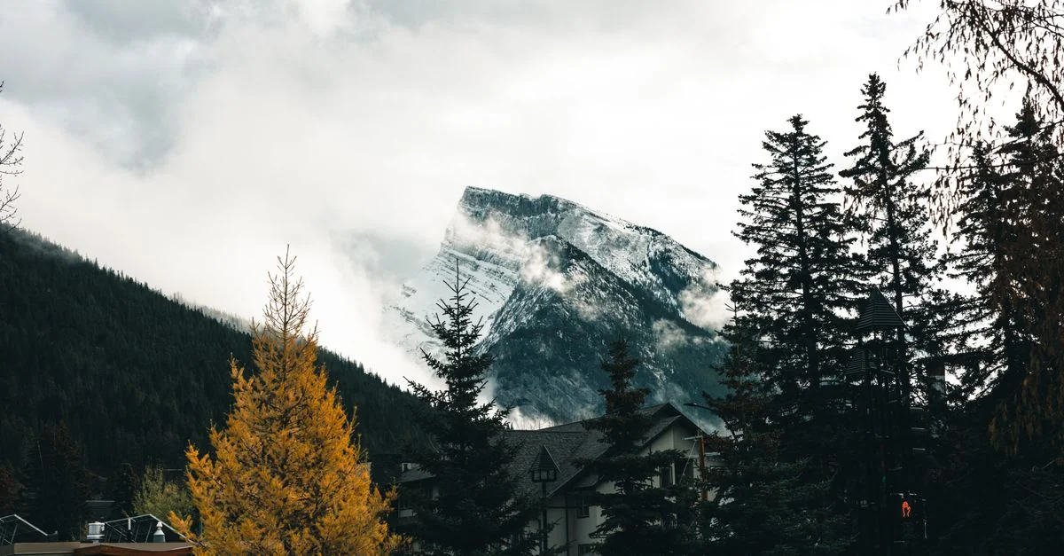Nature and Wildlife Tours in Banff: Safari, Birdwatching and Eco Adventures