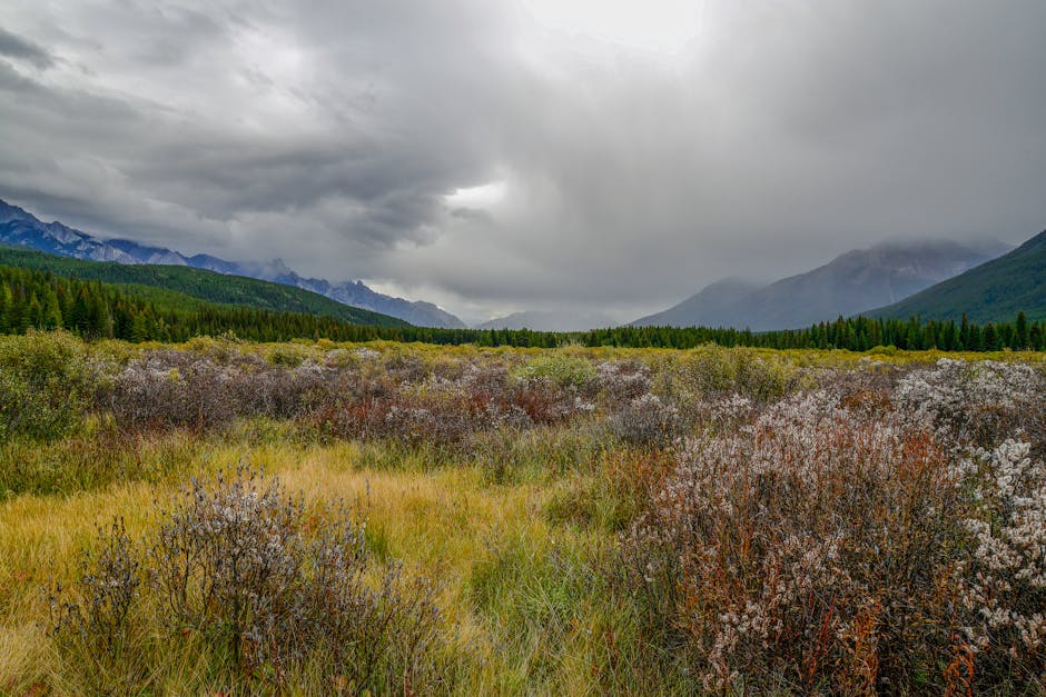 banff-travel-guide