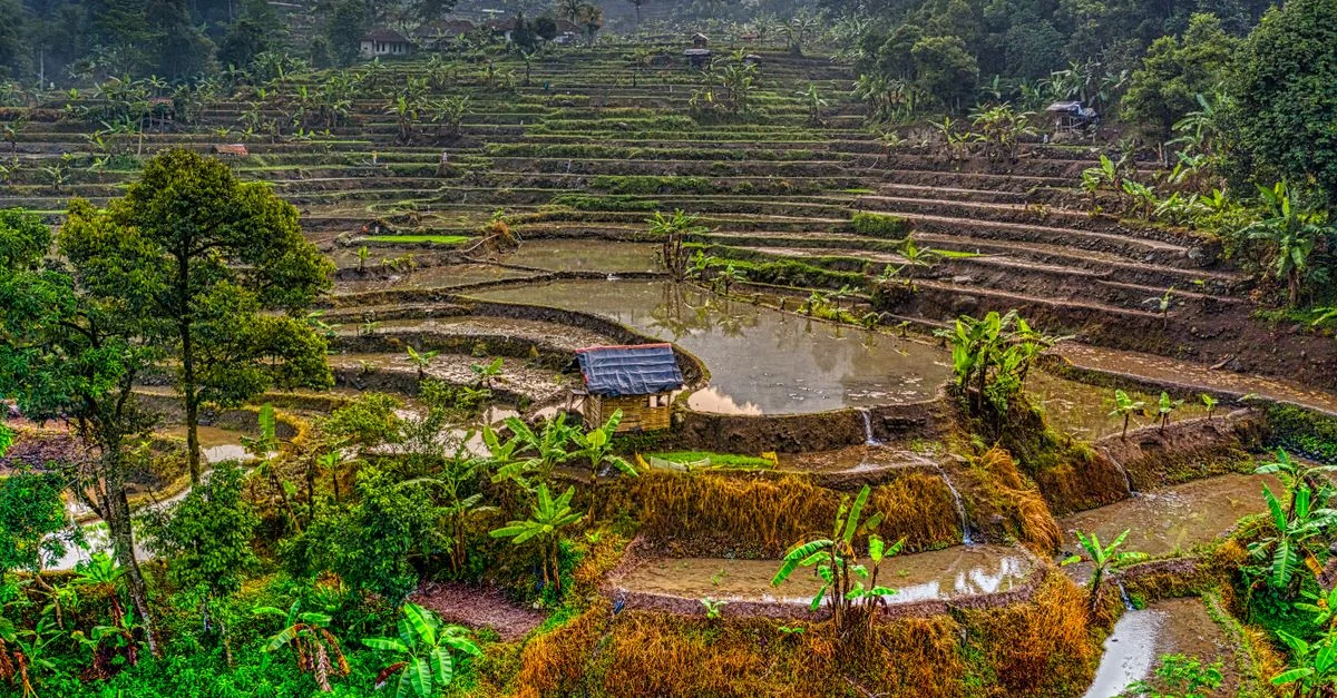Best Photo Tours in Bangli Regency