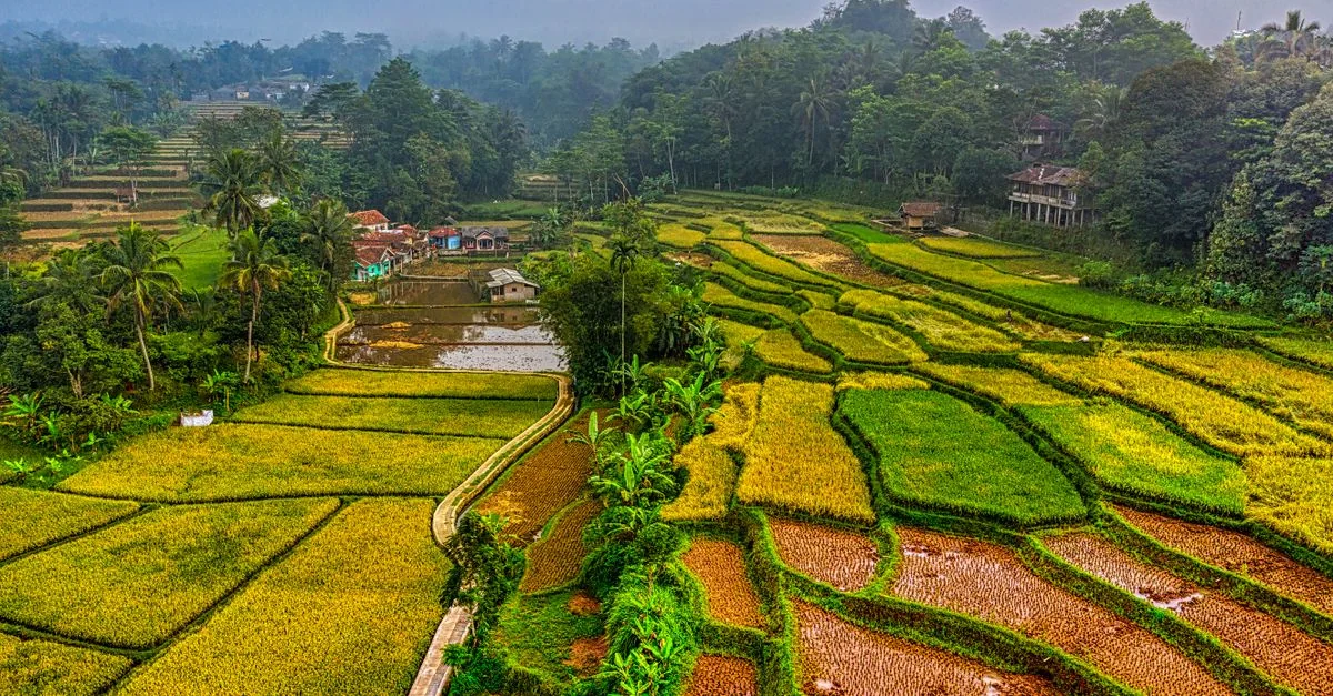 Best Photo Tours in Bangli Regency