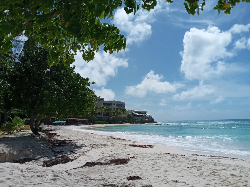 barbados-visa-free