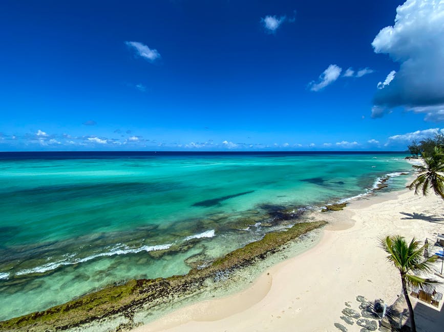 barbados-visa-free