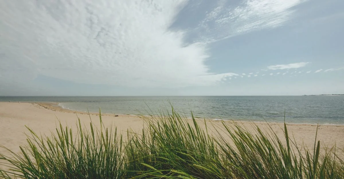 Exploring Barnstable County: A Guide to Local Sightseeing Tours