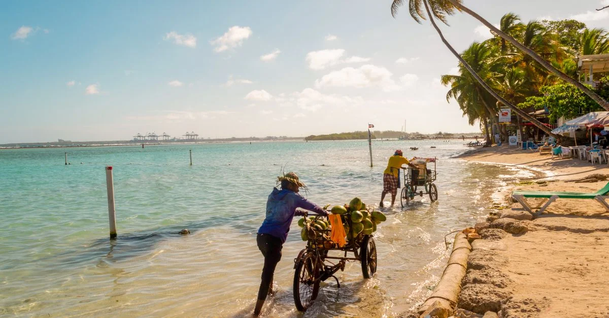 Best Cruise Tours in Bavaro