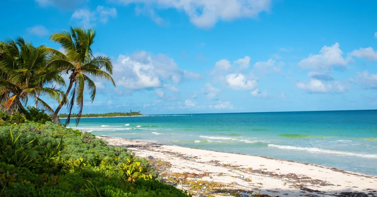 Best Cruise Tours in Bavaro