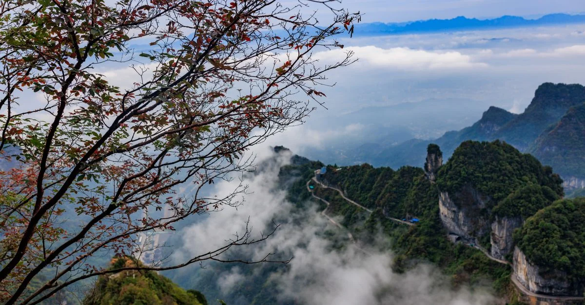 Exploring Bei Jing Shi: The Ultimate City Tours and Sightseeing Guide