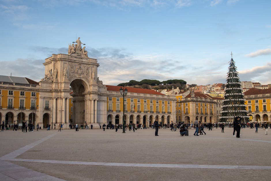 beja-to-lisbon-bus
