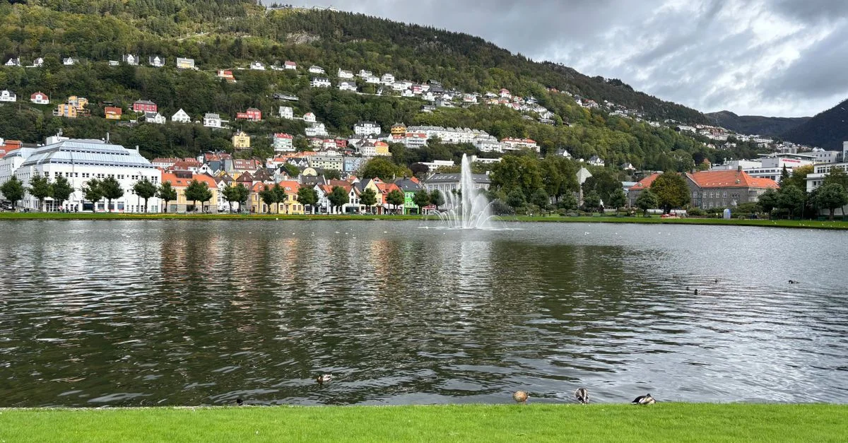 Nature and Wildlife Tours in Bergen: Discover Norway