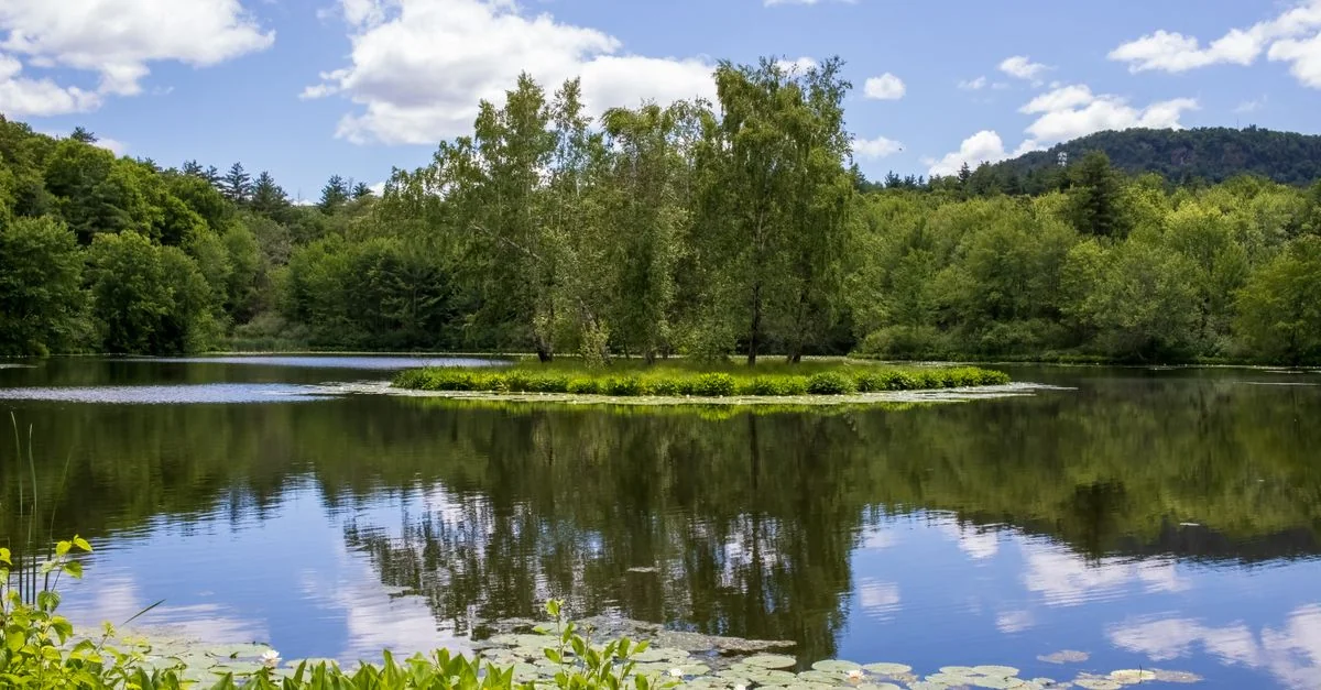 Berkshire County Walking Tours Guide: On Foot Through Massachusetts
