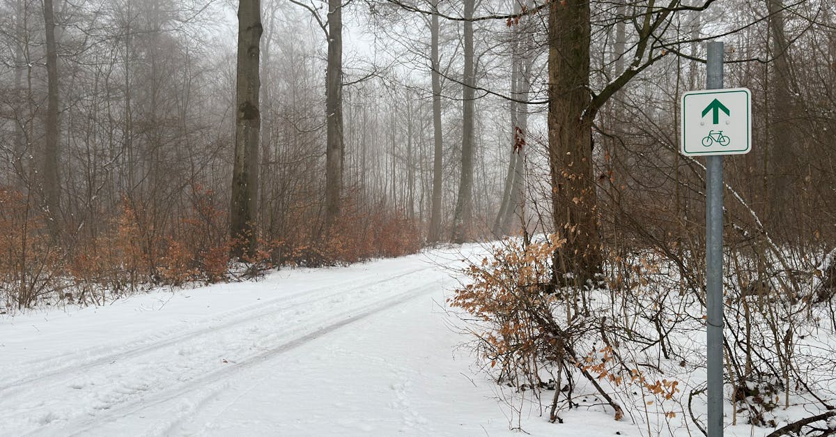 berlin-hiking-tours