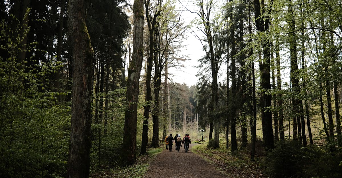 berlin-hiking-tours