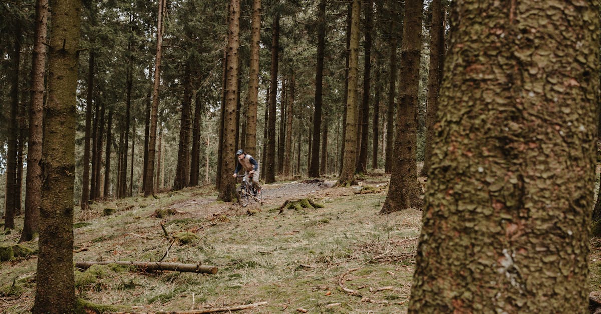 berlin-hiking-tours