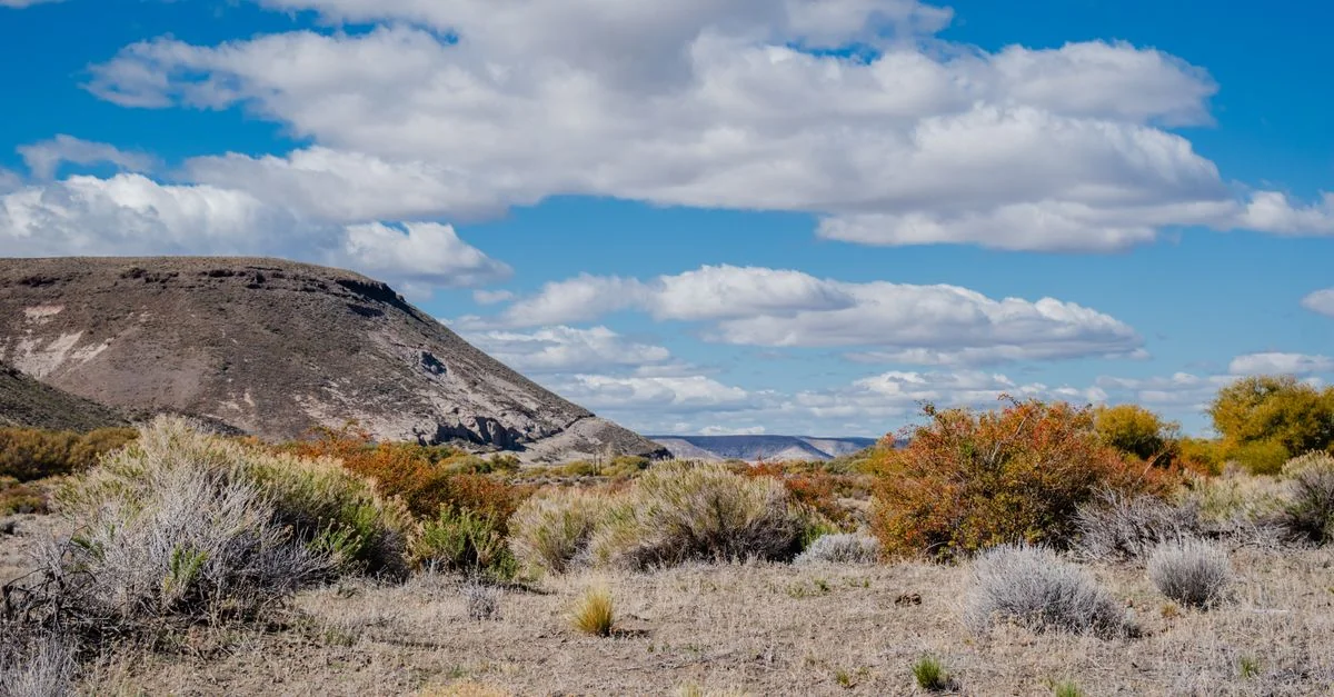 Bernalillo County Adventure Guide: Ballooning Tours with Prices and Tips