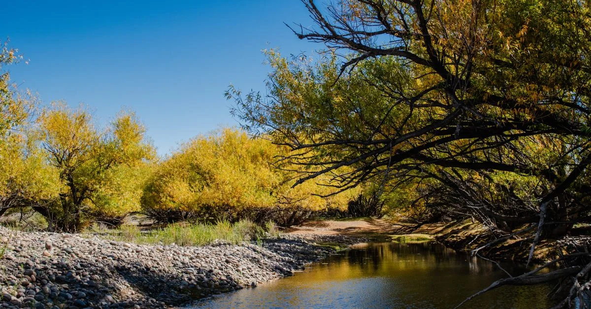 Bernalillo County Adventure Guide: Ballooning Tours with Prices and Tips