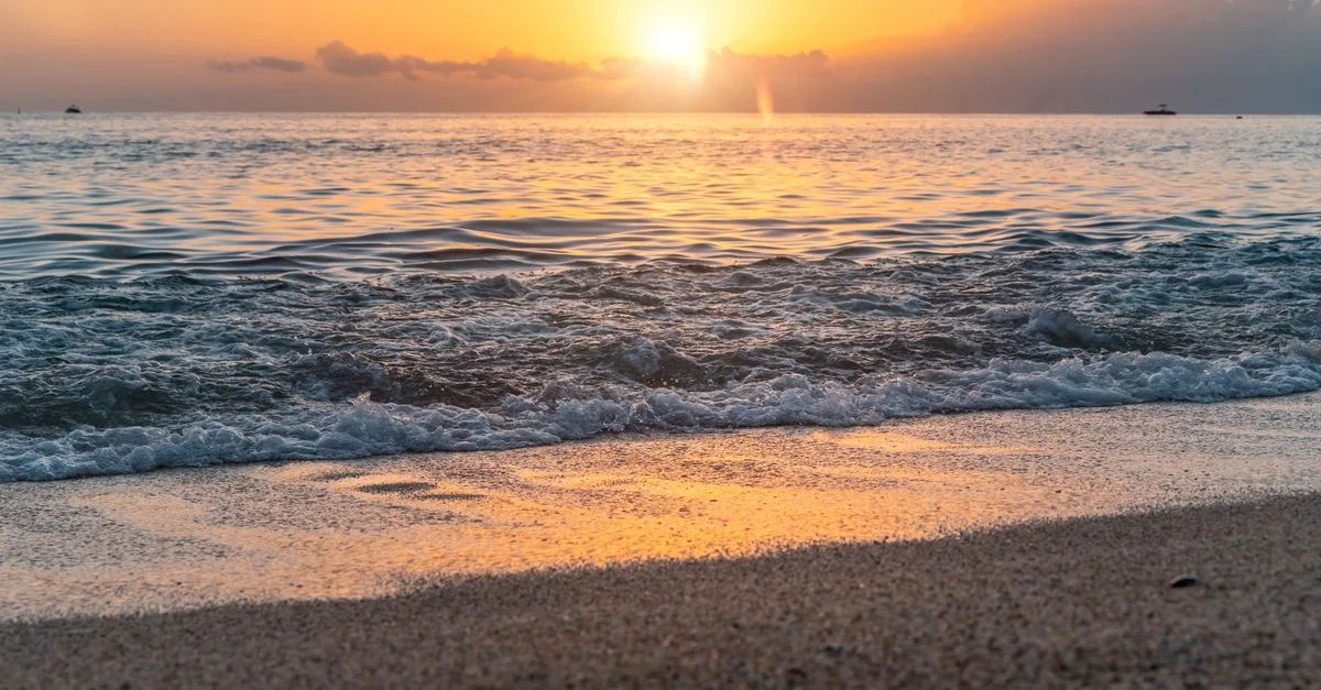 Discover Alanya: The Ultimate Guided Tour Guide for Turkey’s Coastal Gem