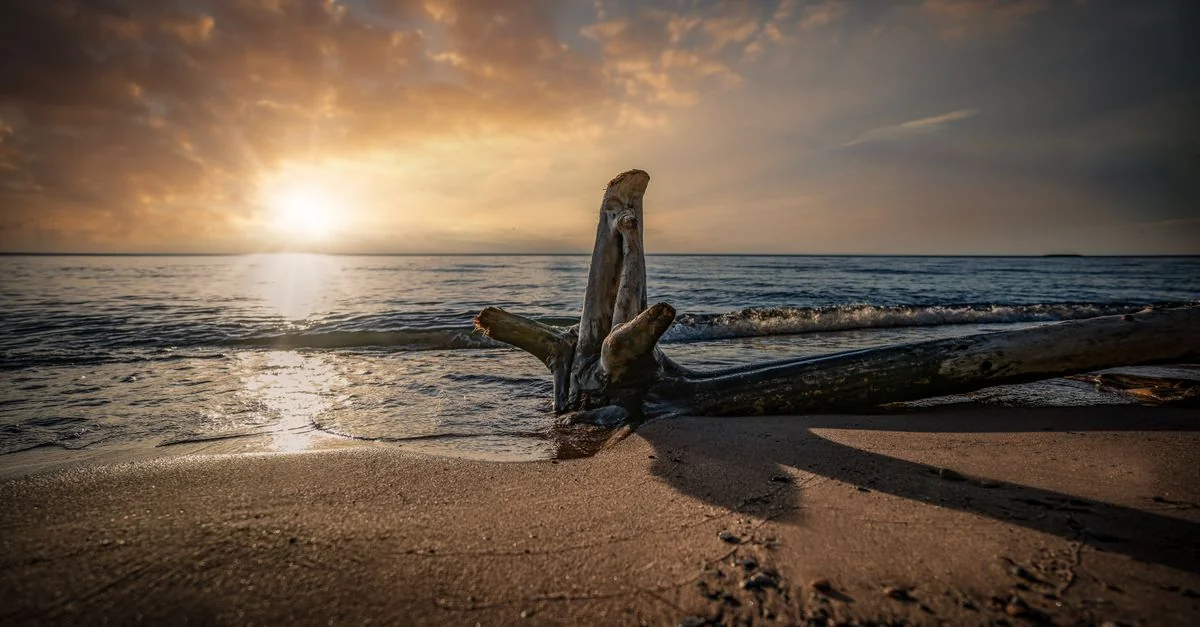 Exploring Bay County: A Guide to Water Adventures and Wildlife Encounters