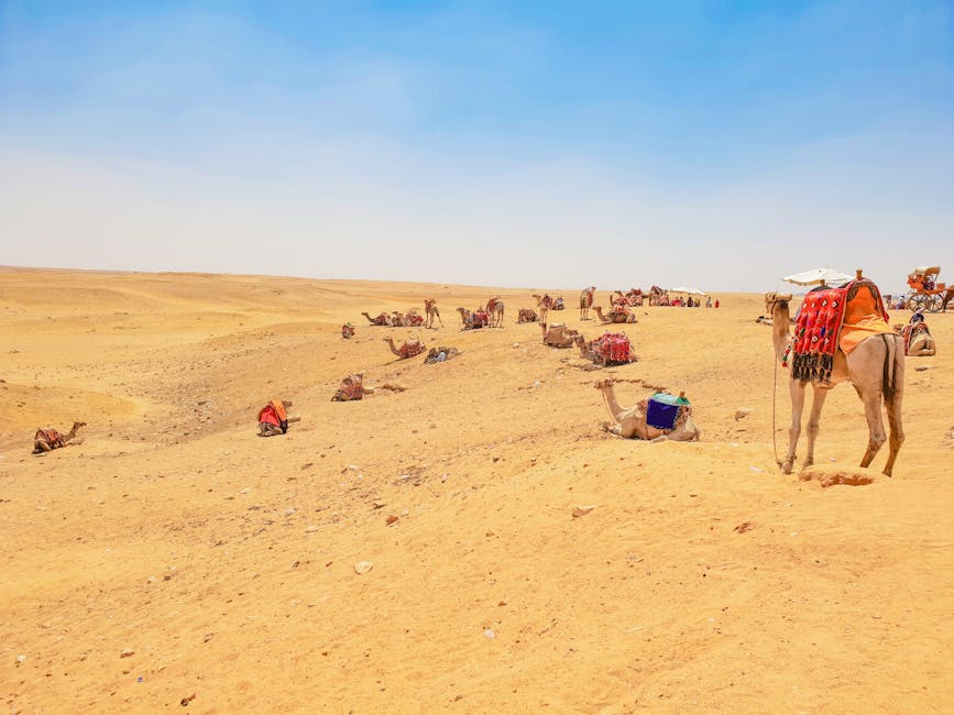 best-tours-cairo