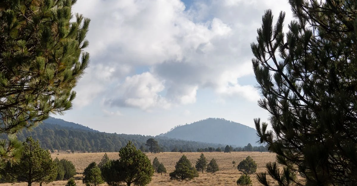 Exploring Estado de México: A Journey Through Mexico&rsquo;s Hidden Gems