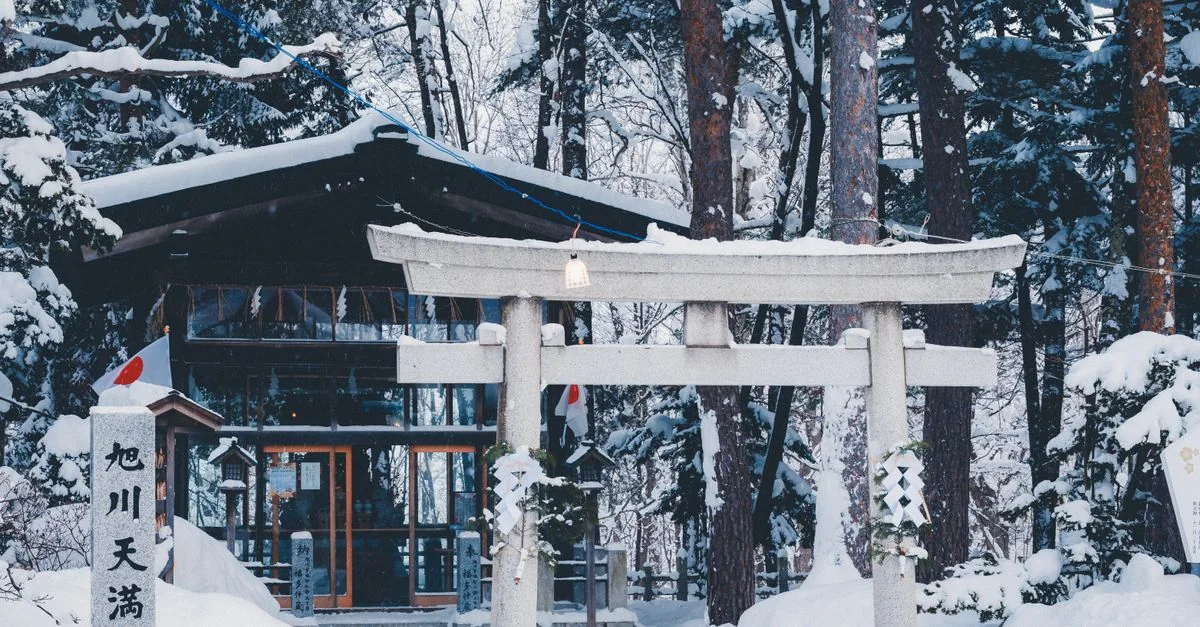 Discovering Hokkaido: A Comprehensive Guide to Tours, Prices, and Experiences