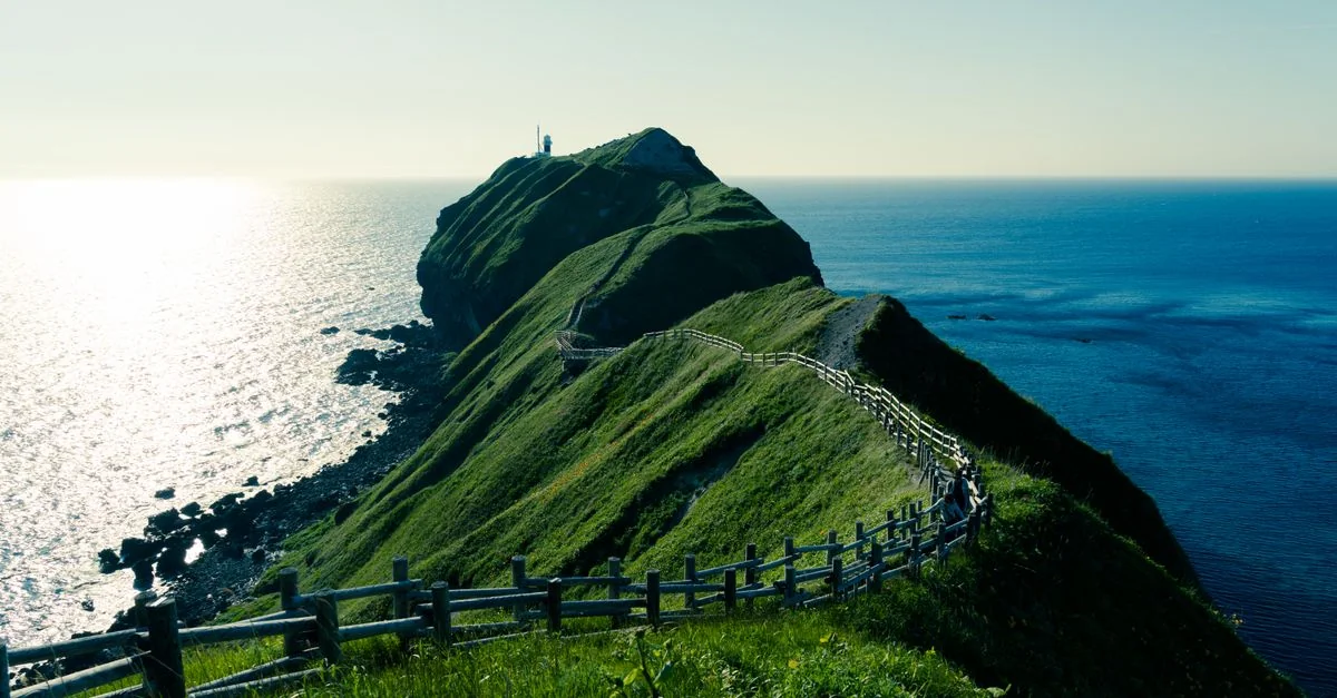 Discovering Hokkaido: A Comprehensive Guide to Tours, Prices, and Experiences