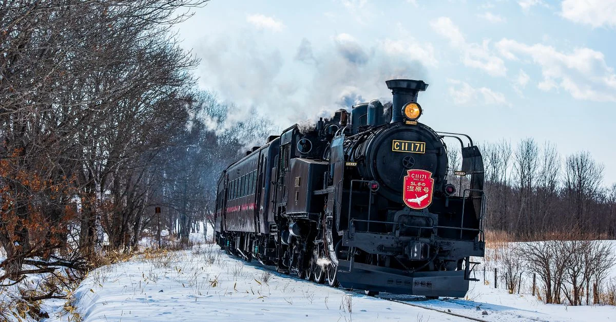 Discovering Hokkaido: A Comprehensive Guide to Tours, Prices, and Experiences