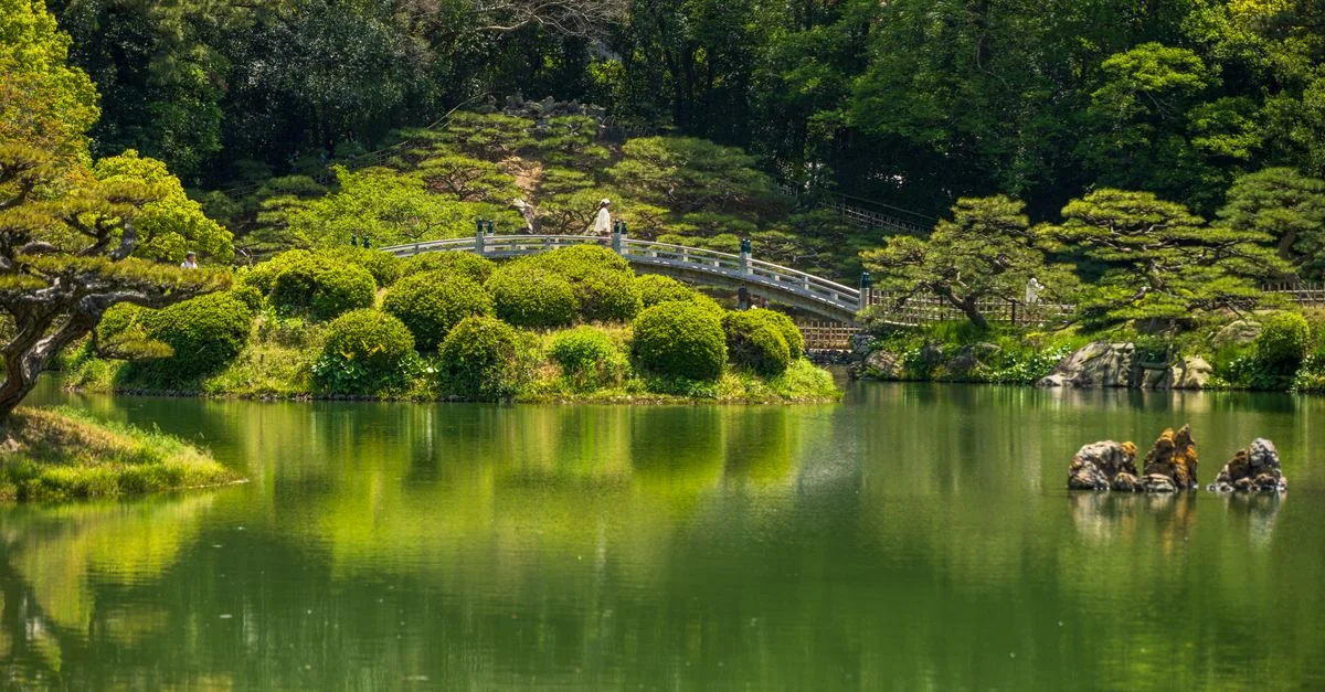 Comprehensive Hyogo Tour Guide: Discovering Japan’s Diverse Landscapes and Culture