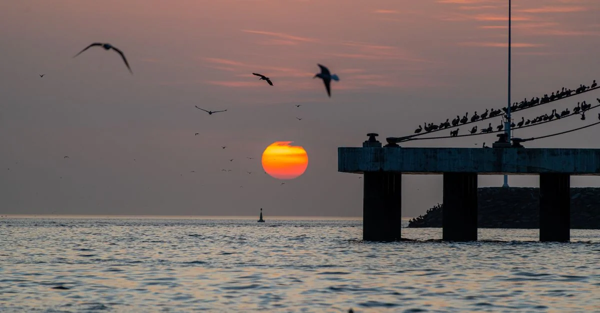Explore Panamá with Expert Guides – Your Complete Tour Guide