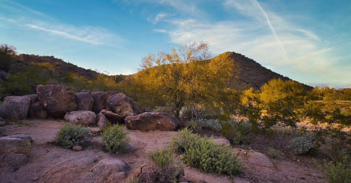 Comprehensive Phoenix Tour Guide