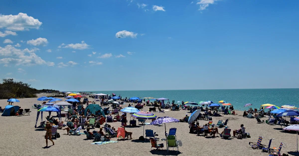 Pinellas County Tour Guide: Activities, Prices, and Top Excursions