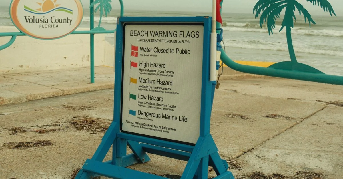 Pinellas County Tour Guide: Activities, Prices, and Top Excursions