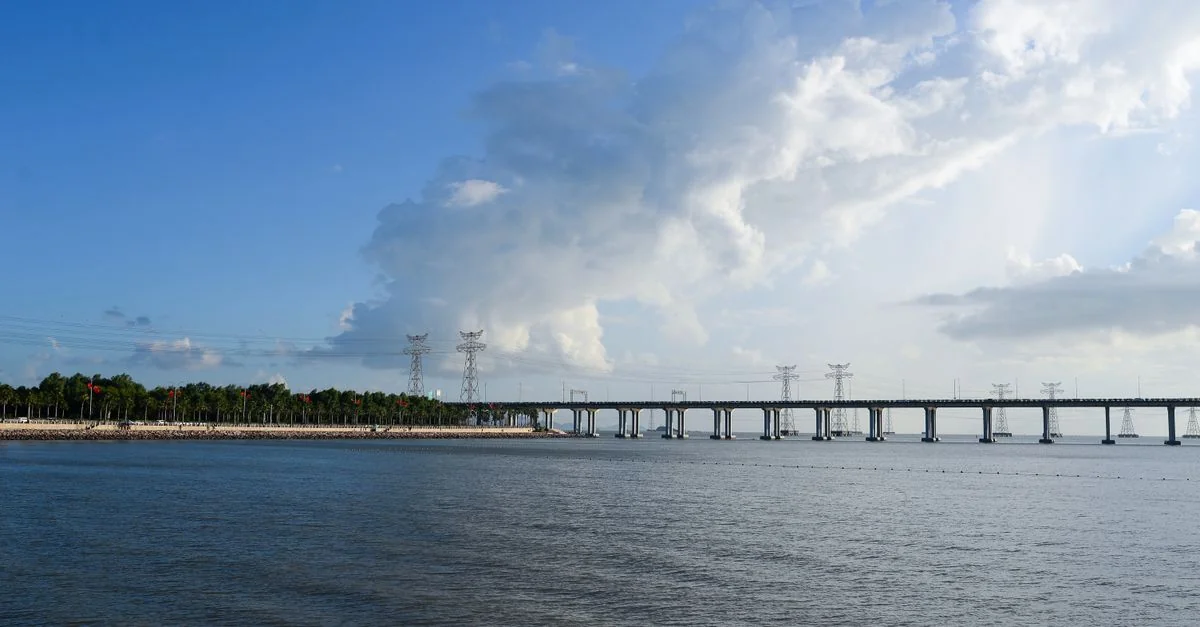 Pinellas County Tour Guide: Activities, Prices, and Top Excursions