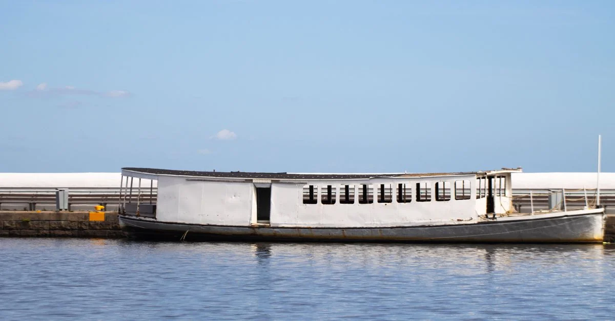 Pinellas County Tour Guide: Activities, Prices, and Top Excursions