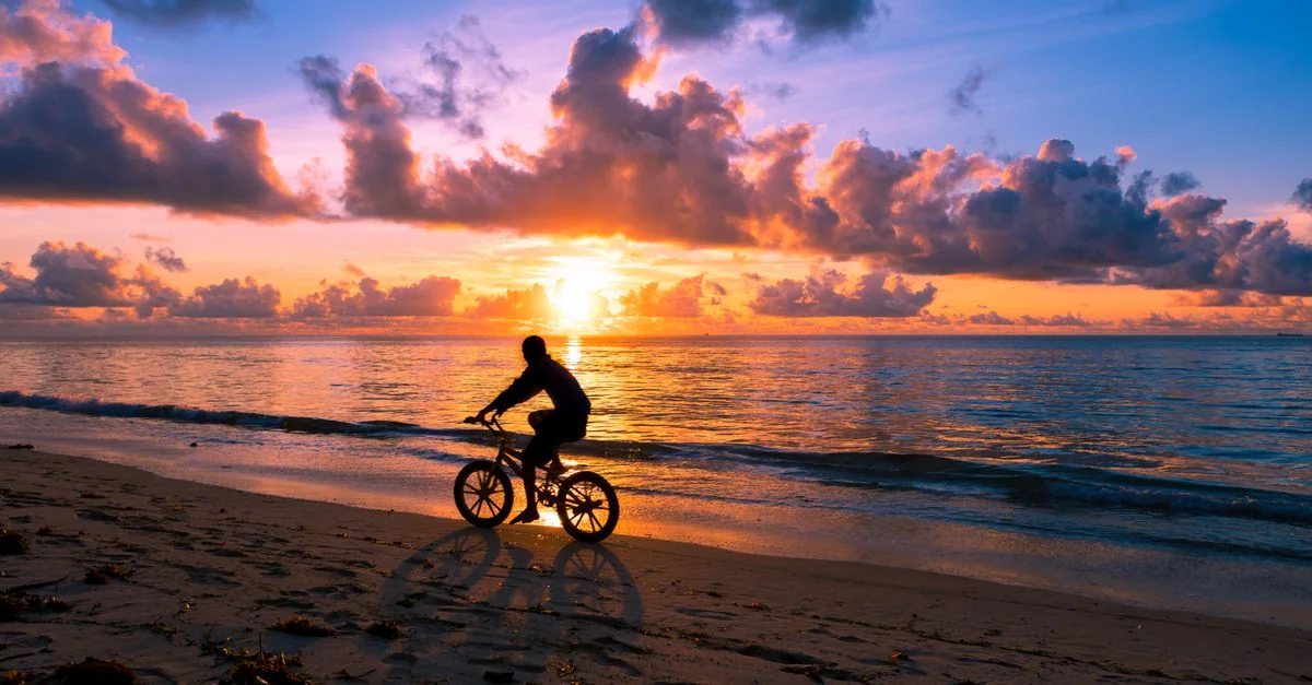 Pinellas County Tour Guide: Activities, Prices, and Top Excursions