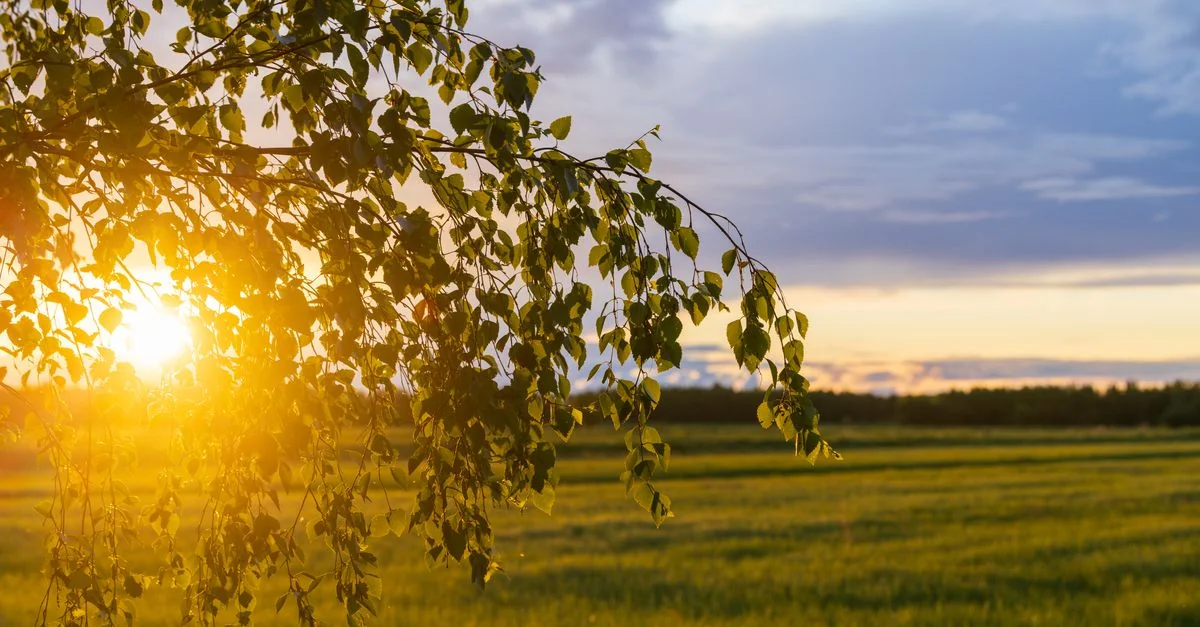 Comprehensive Guide to Exploring Pohjois-Lappi
