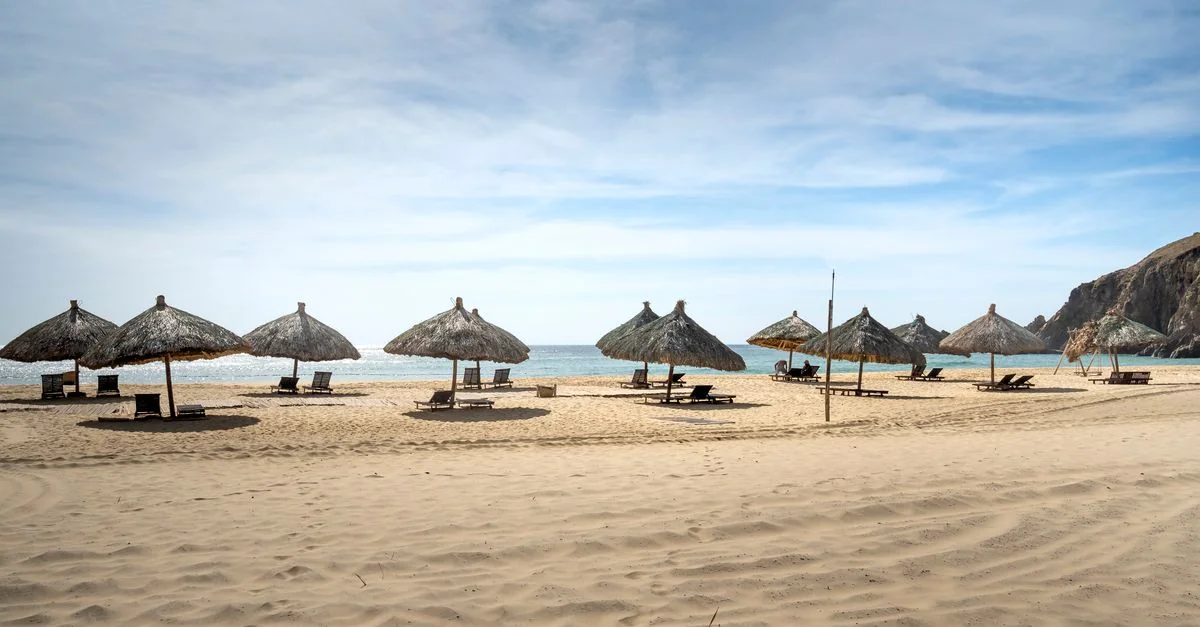 Complete Tour Guide to San Jose del Cabo: Tours, Prices, and Travel Tips